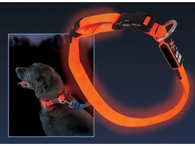 Immagine prodotto Nite Ize Collare LED Nitedawg (S, Cane, Jogging, Passeggiare)