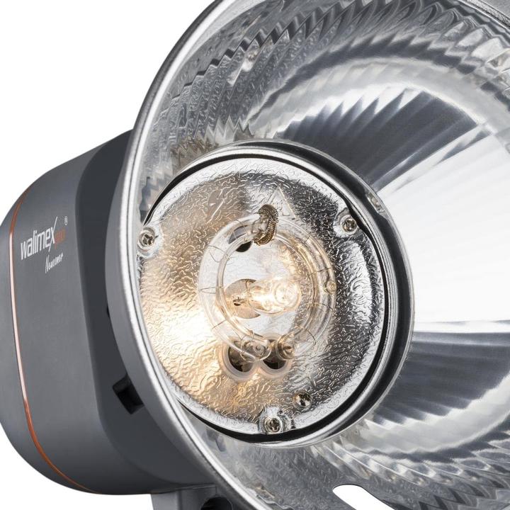 Image du produit Walimex pro Flash de studio Pro Newcomer 300 (300 W, Tête de flash)