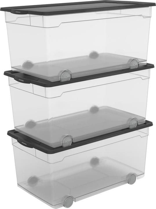 Rotho Storage box 3 pieces (71.5 x 40 x 33.5 cm, 171 l)