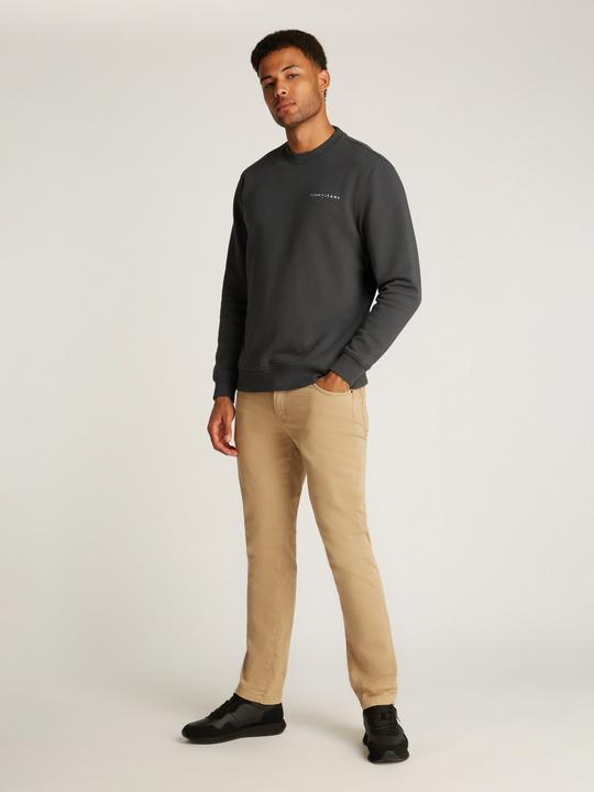 Actual product image Tommy Jeans Tjm Reg Linear Crew Ext (M)