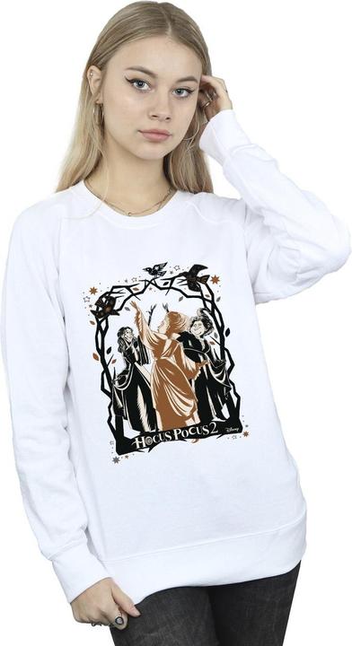 Actual product image Disney Womens/Ladies Hocus Pocus Birds Sweatshirt (XL)