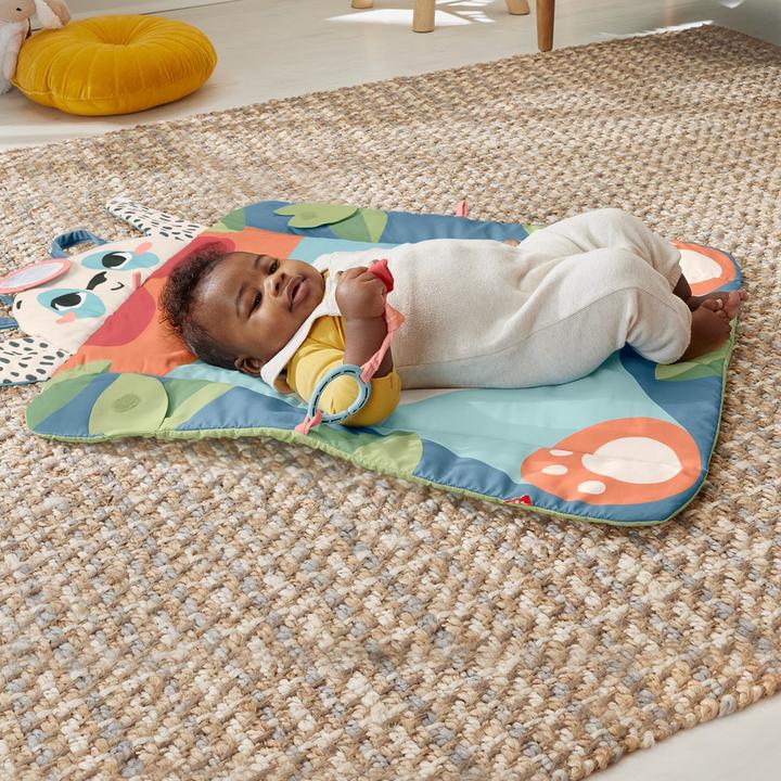 Actual product image Fisher-Price 0