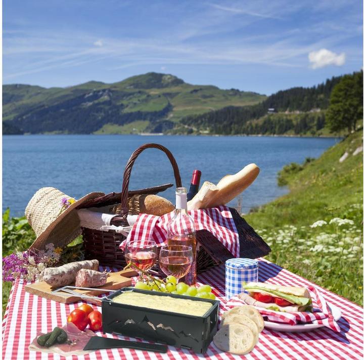 Actual product image Swissmar Raclette machines
