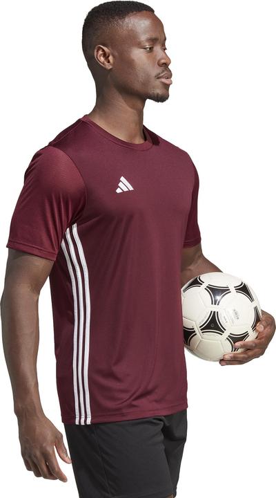 Produktbild adidas Herren Tabelle 23 Trikot Burgund IB4928 (XL) (XL)