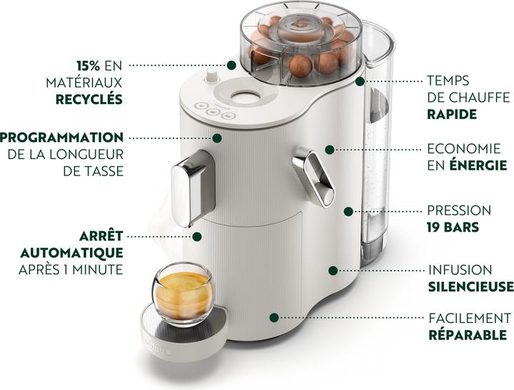 Actual product image CoffeeB Globe (CoffeeB)