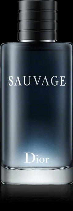 Immagine prodotto Dior Sauvage (Eau de toilette, 100 ml)