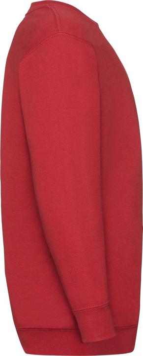 Image du produit Fruit of the Loom Pulls (104)