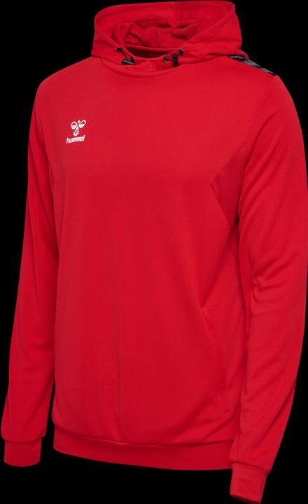 Actual product image hummel Hmlauthentic Pl Hoodie (XS)