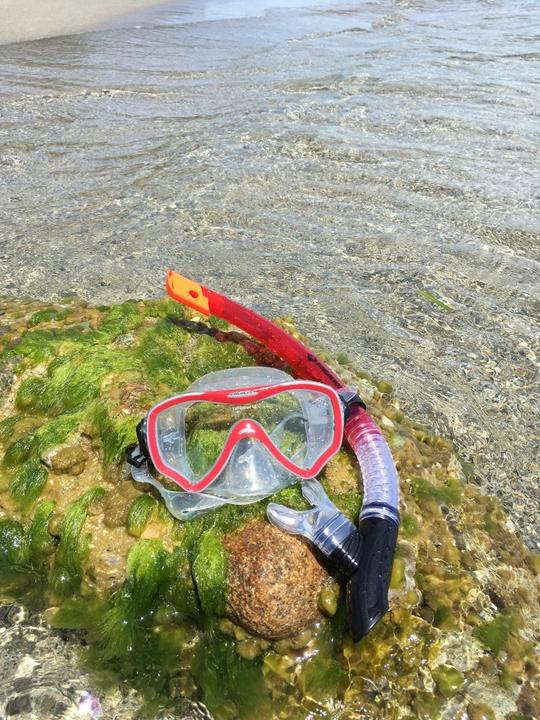 Actual product image Schildkröt Diving set FIJI 2-piece