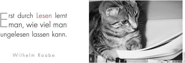 Image du produit L'agenda littéraire des chats pour la semaine 2025 (Allemand)
