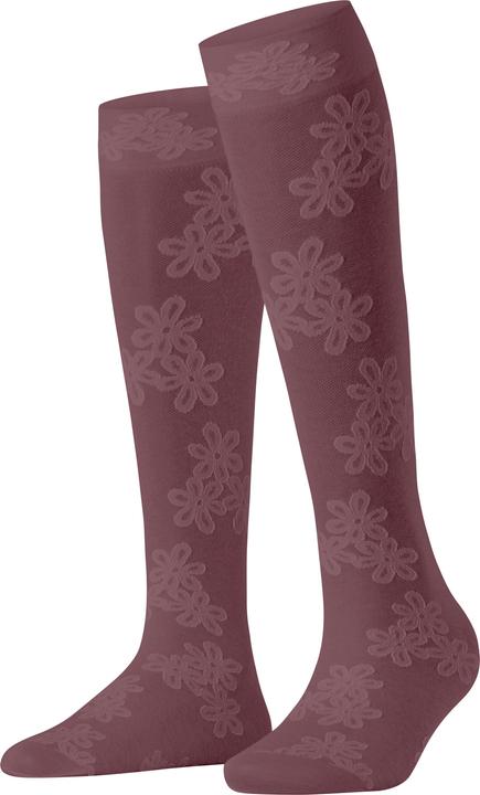 Immagine prodotto Falke Ice Flower 40 DEN Damen (40 DEN, 35 - 38)