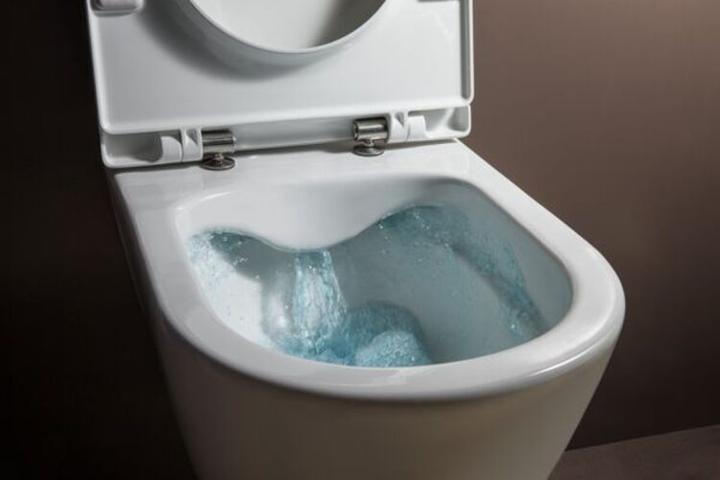 Actual product image Laufen Pro WC-Sitz