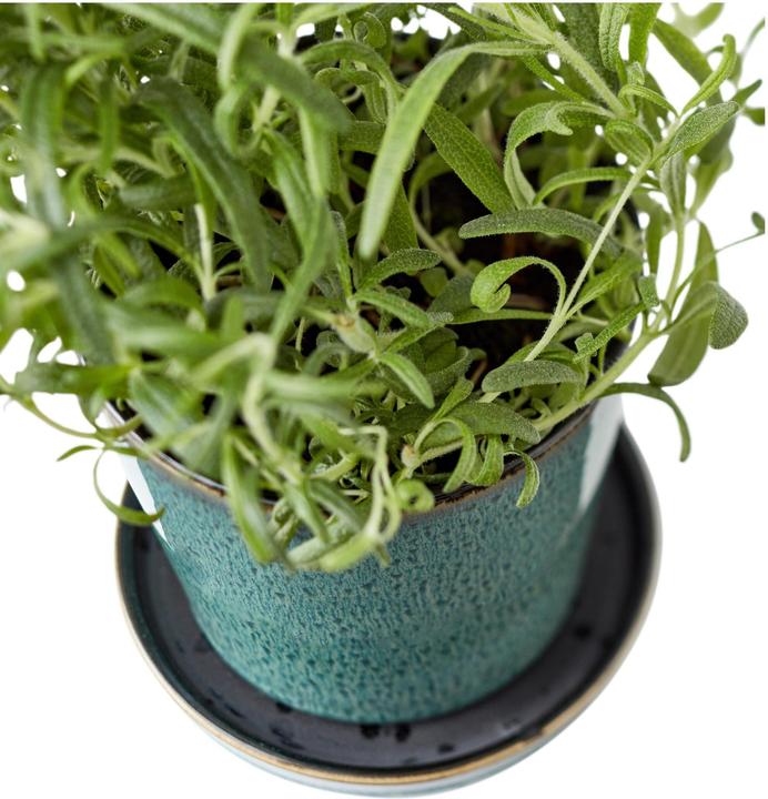 Produktbild Bitz Pflanzengefäss (10 cm)