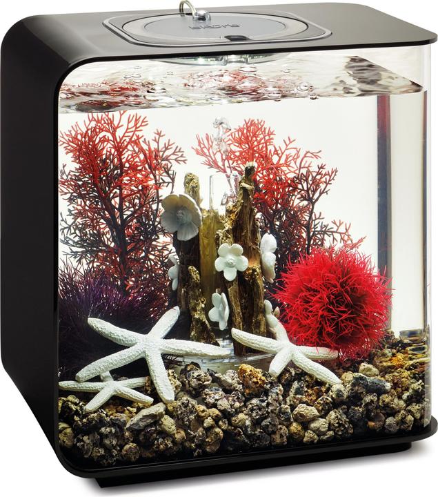 Actual product image Oase biOrb Aquarium 15 Decor Set (Embellishment, other items)