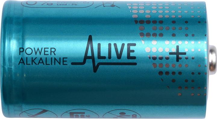 Immagine prodotto Batteria alcalina (2 pz., D, 14000 mAh)