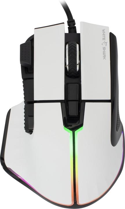 White Shark Squalo bianco Marocco (GAMYWHI00015N0) (Cablato)