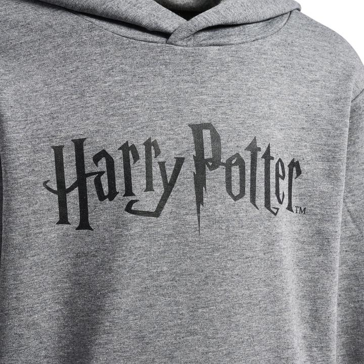Image du produit hummel Sweat à capuche Hmlharry Potter (110)