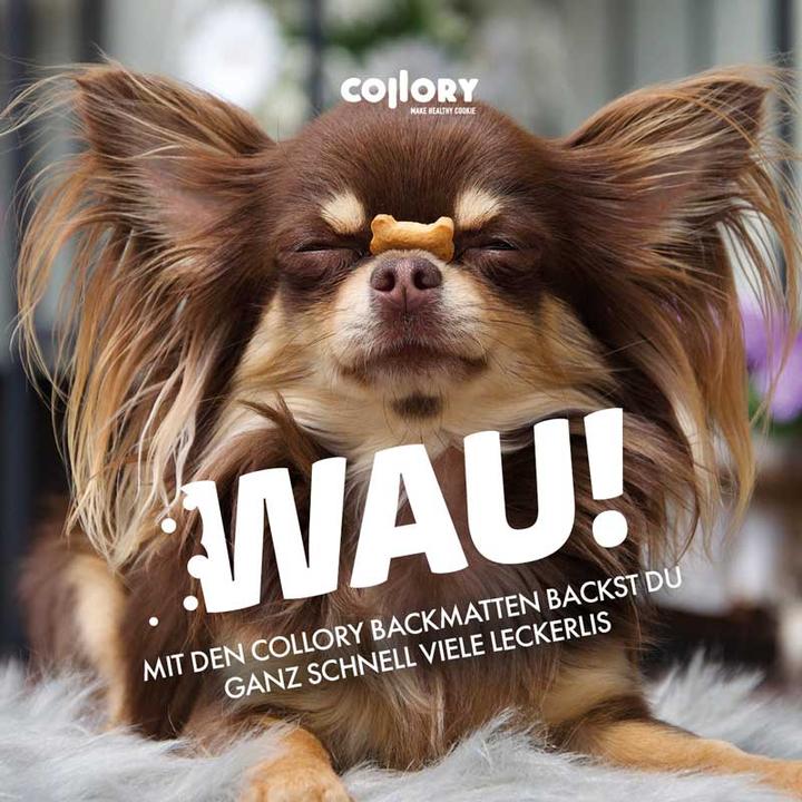 Immagine prodotto Collory Tappetino da forno per crocchette per cani grandi Ossa