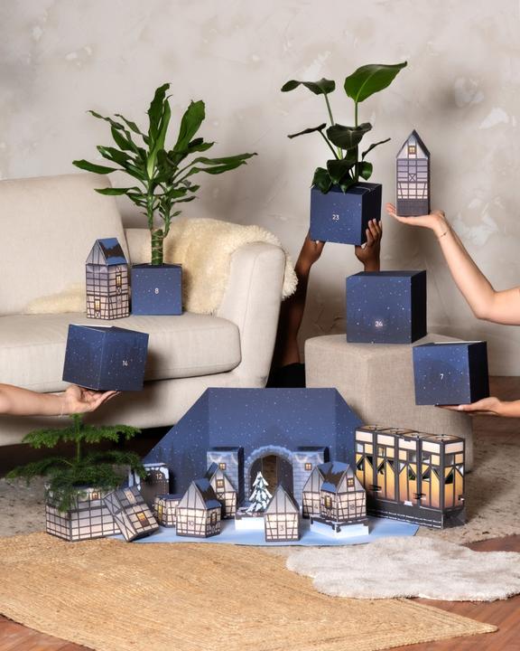 Produktbild feey Pflanzen Adventskalender (60 cm)