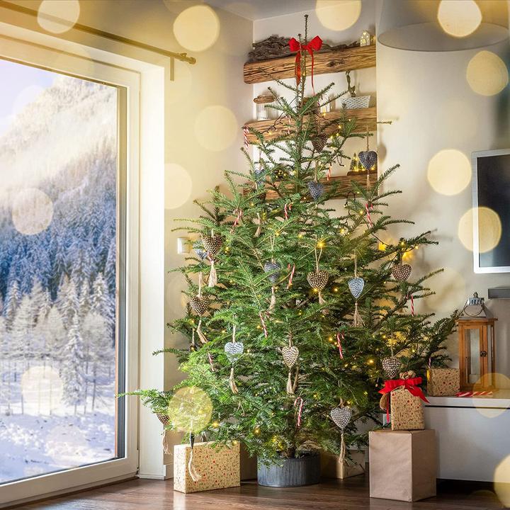 Immagine prodotto Kadax Weihnachtsbaumständer