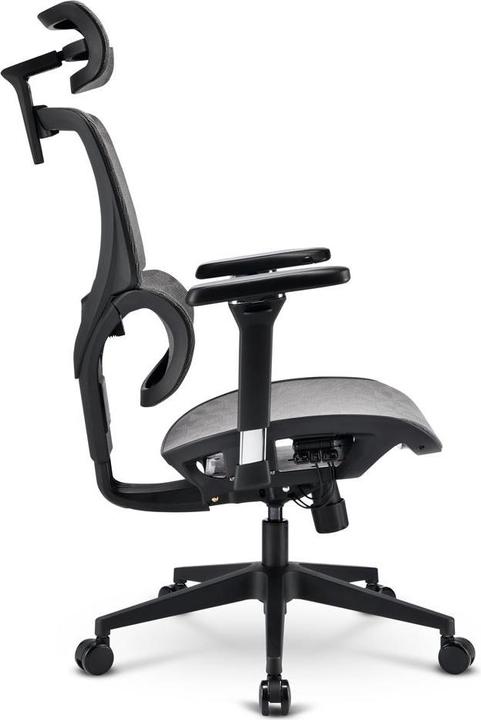 Actual product image Sharkoon OfficePal C40M