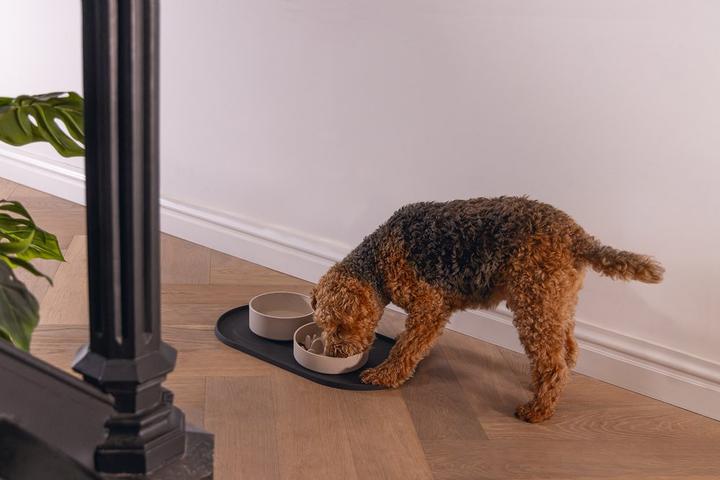Image du produit Designed by Lotte Set de table Oona