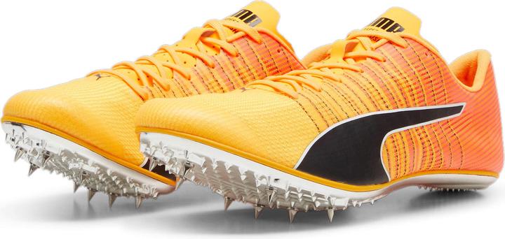 Puma evoSPEED BRUSH 6