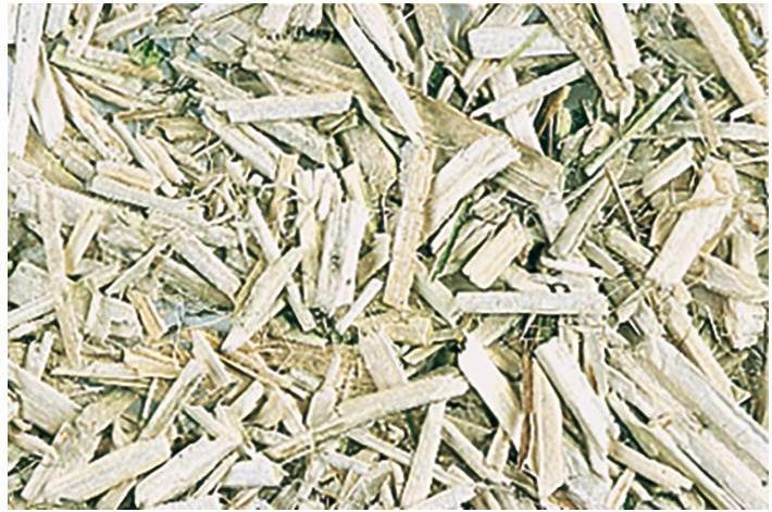 Image du produit Schweizer Paille de chanvre Canatura (3 kg, Paille)