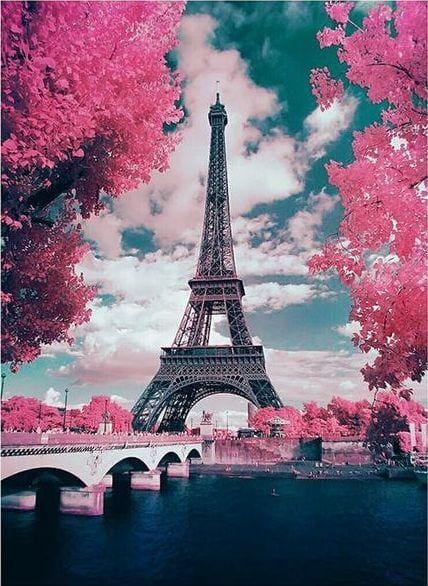 Immagine prodotto Figured'Art Diamond Painting - Torre Eiffel e Fiori