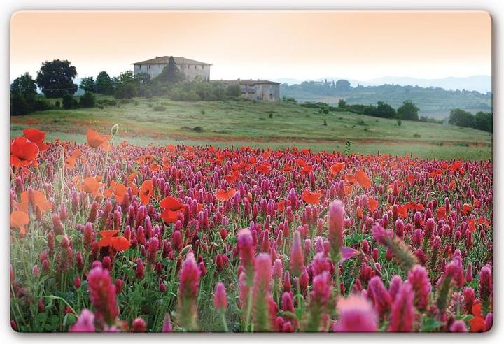 Image du produit Trenddeko Prairie fleurie Toscane (60 x 40 cm)