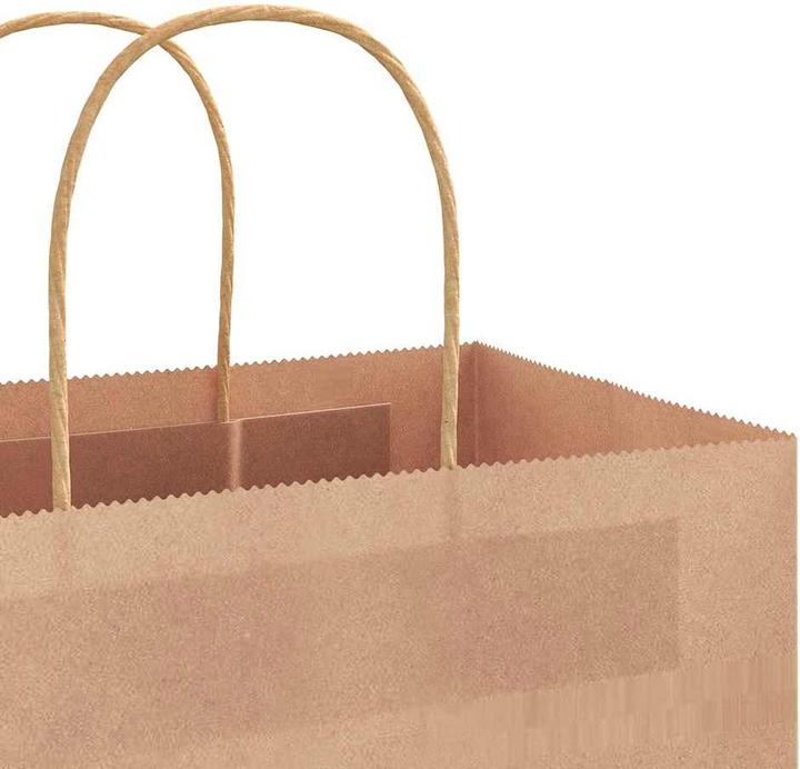 Immagine prodotto VidaXL Sacchetti di carta kraft 250 pezzi con maniglia marrone 22x11x31 cm (Borsa da regalo, 250 x)
