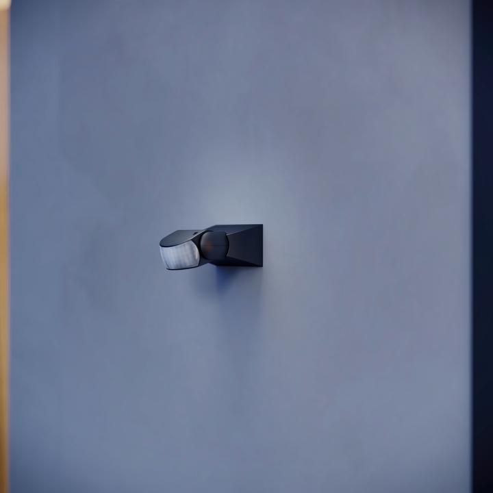 Actual product image Steinel Infrared sensor IS 1, black (10 m)
