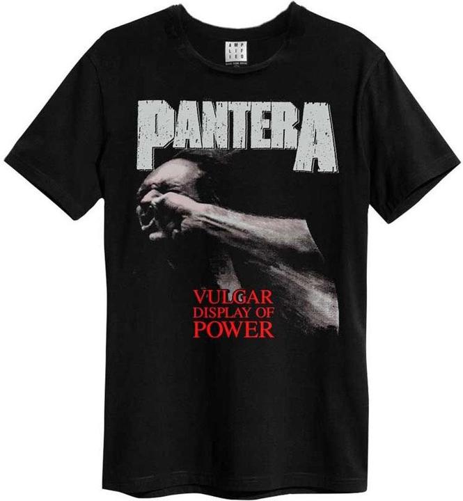 Amplified Vulgar Display Of Power Tshirt
