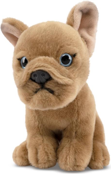 Produktbild Living Nature Französische Bulldogge Welpe beige (17 cm)