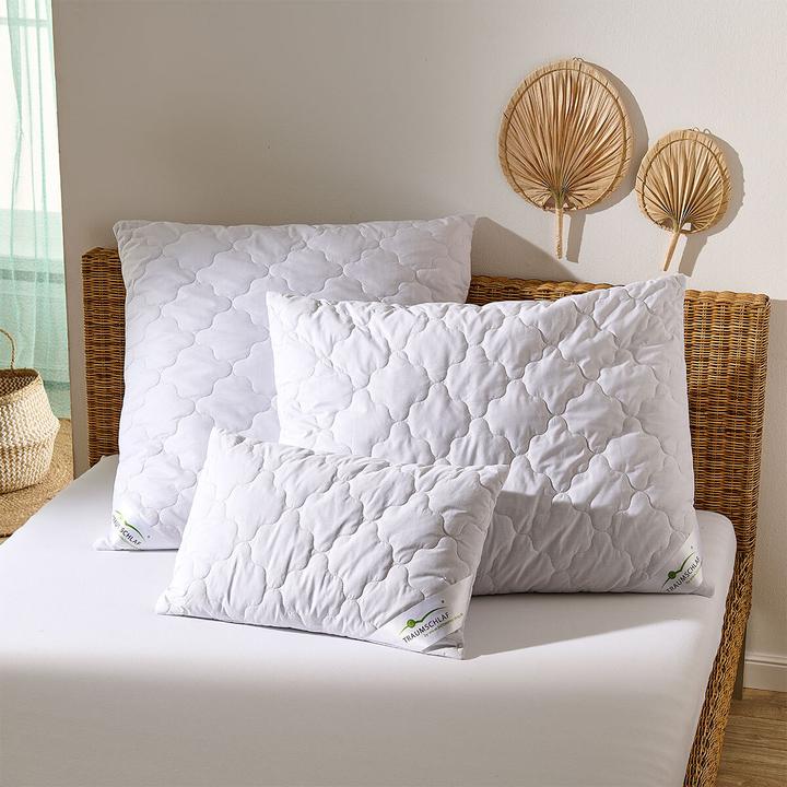 Immagine prodotto Traumschlaf Schurwolle Nature (80x80 cm)