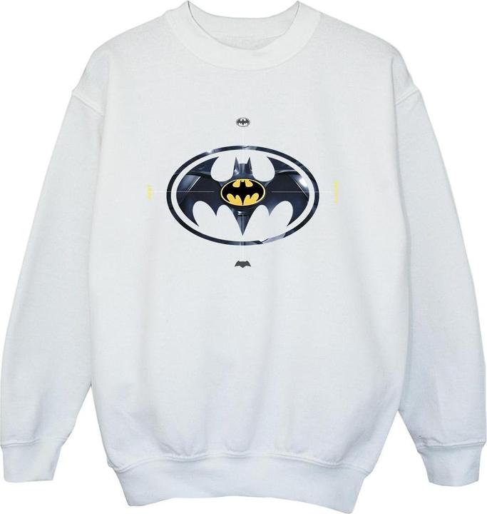 The Flash Batman Metal Logo Sweatshirt Jungen