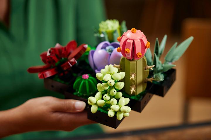 Actual product image LEGO Succulents (10309, LEGO Botanical, LEGO Rare Sets)