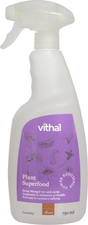 Vithal Plant Superfood Spray 750 ml (0.75 l)
