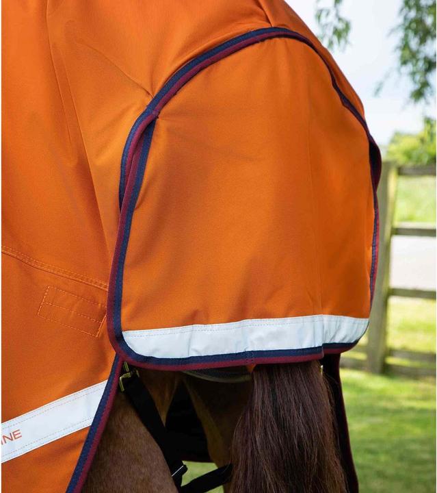 Immagine prodotto Premier Equine Buster Hardy 200 g (160 cm)