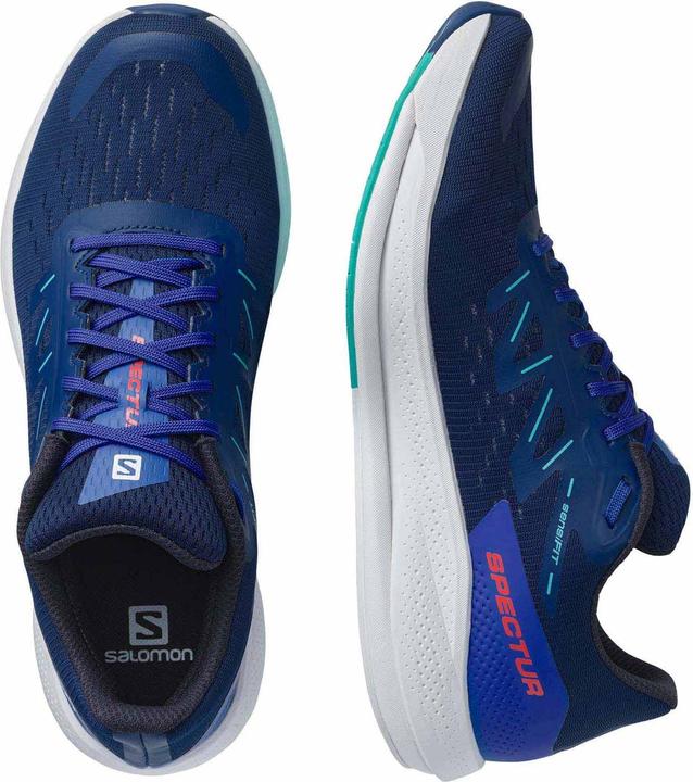 Image du produit Salomon Spectur (42 2/3)