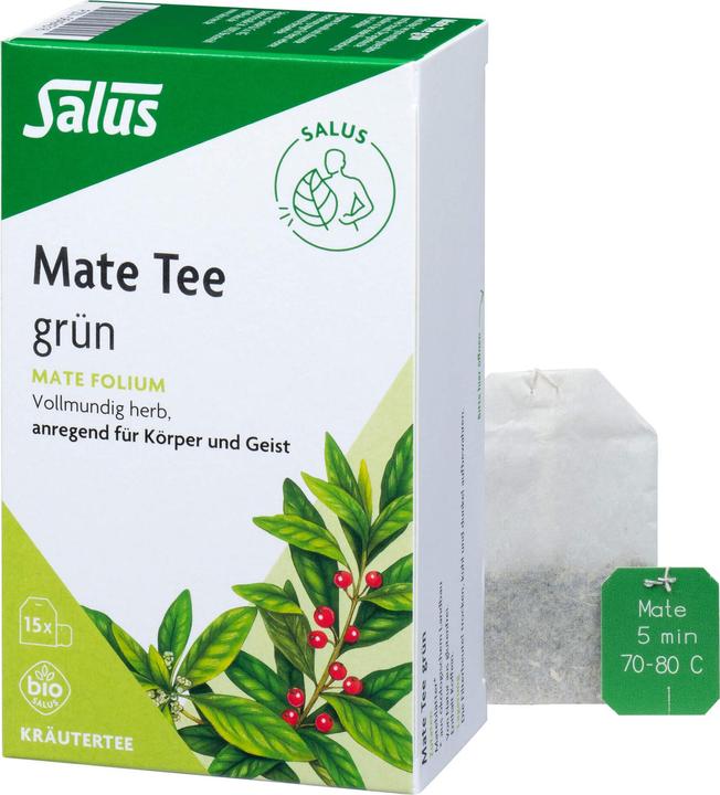 Actual product image Salus Mate tea green, 15 pc. Filter bag (34.50 g)