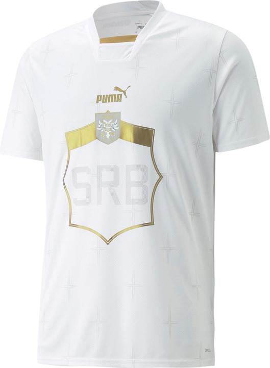 Actual product image Puma FSS Away Shirt Replica (L)