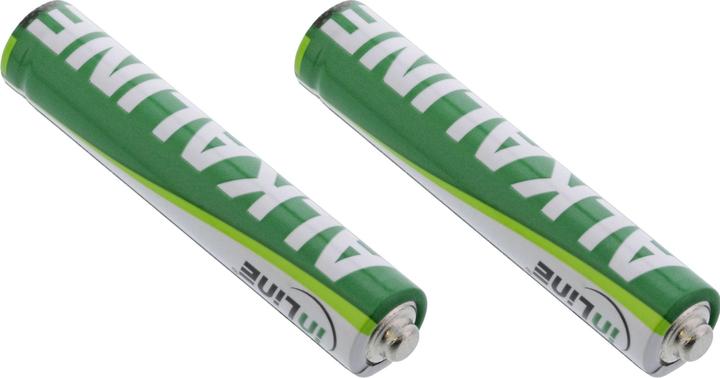 Actual product image InLine Alkaline batteries (2 pcs., AAAA, 500 mAh)