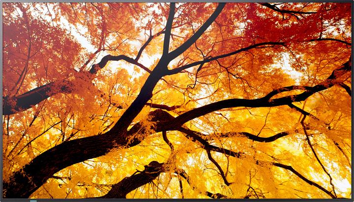 Produktbild NEC Sharp Large Format Display M552 (3840 x 2160 Pixel, 55")