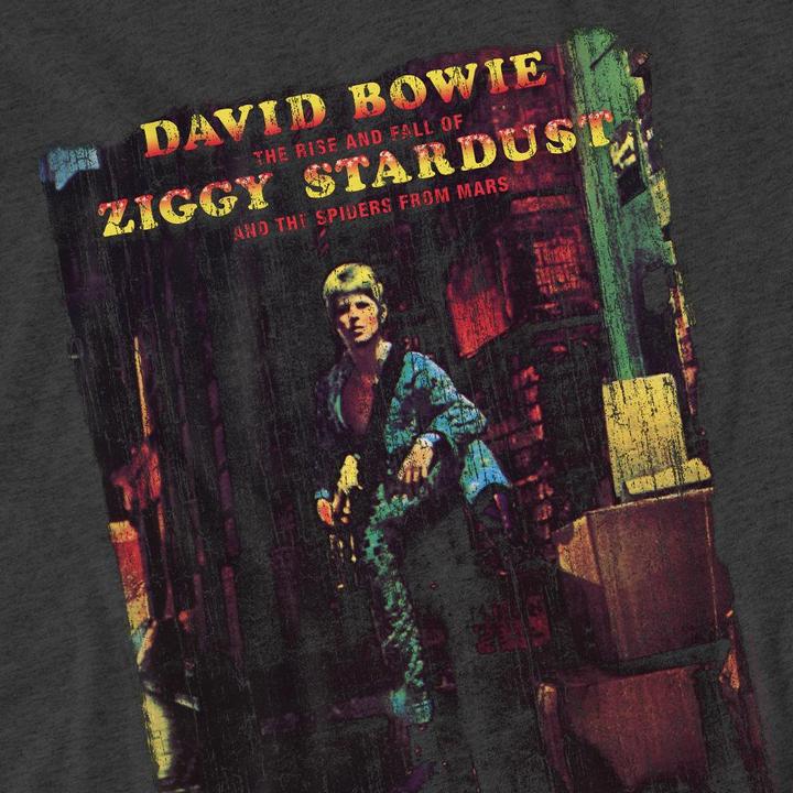 Produktbild David Bowie Ziggy Stardust Album TShirt (XL)