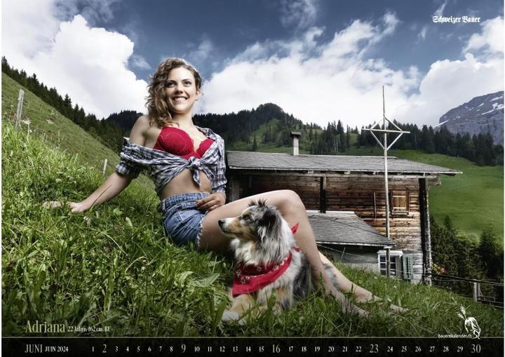 Actual product image Swiss farmers' calendar (56 x 40 cm, No binding, French, German)