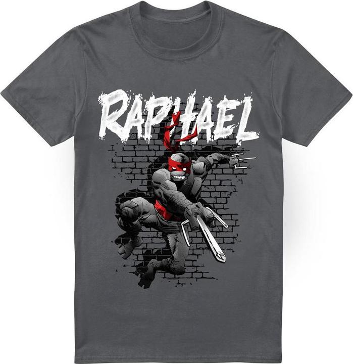Produktbild Teenage Mutant NT TShirt (4XL)
