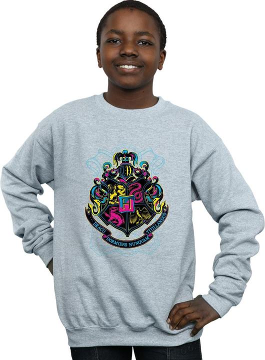 Produktbild Neon Hogwarts Crest Sweatshirt Jungen (152, 158)