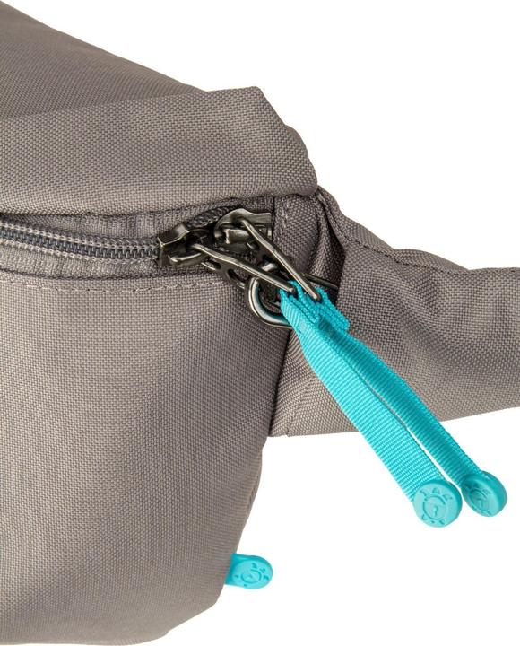Actual product image Pacsafe Go Gürteltasche RFID Schutz 27 cm