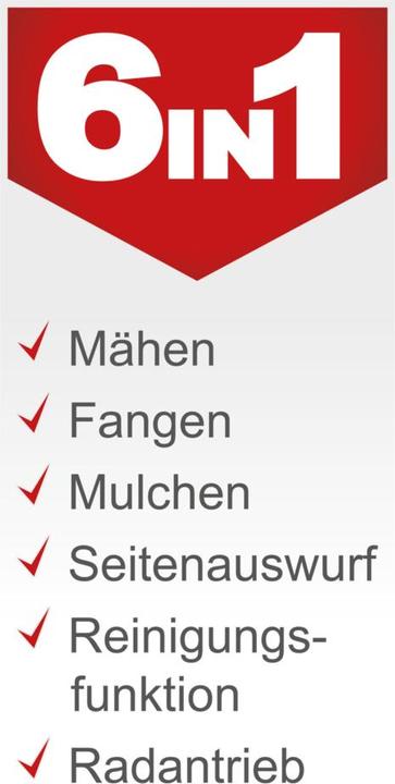 Actual product image Scheppach MS161-46 (Petrol)